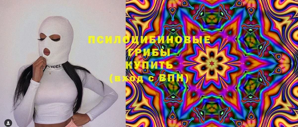 хмурый Богородск