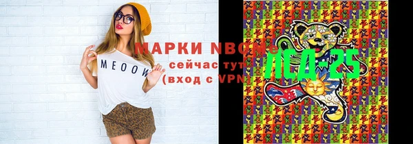 хмурый Богородск